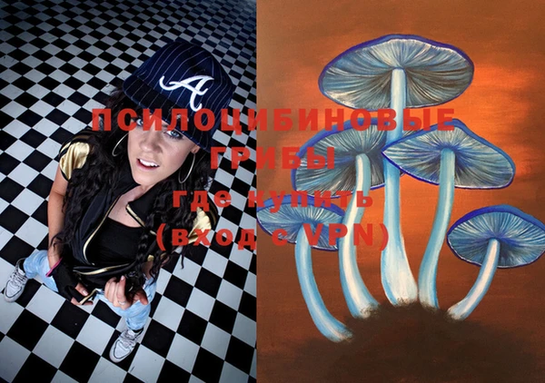 гидра Белая Холуница