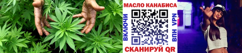 Купить где  Усть-Кут  ТГК концентрат 